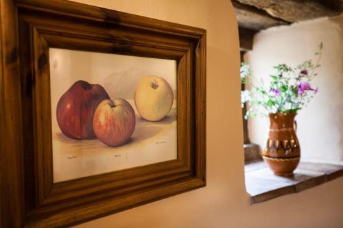 a picture of apples and a vase of flowers on a wall at Highdown Farm Holiday Cottages in Cullompton