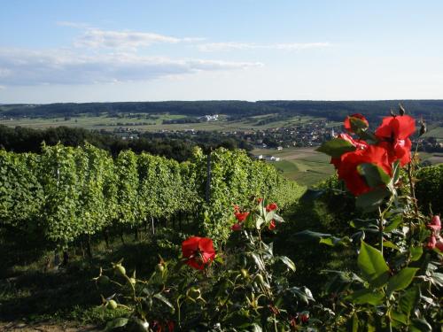 a view of a vineyard with red flowers in the foreground at Golf & Wellness Apartment 34. in Bad Waltersdorf