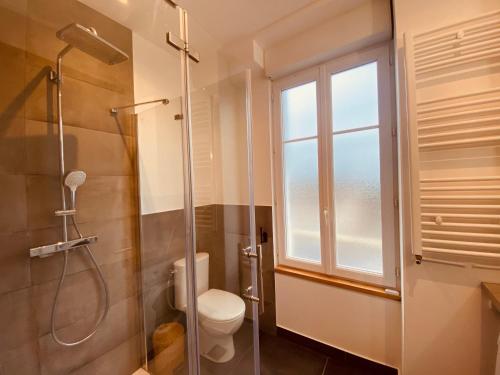 a bathroom with a shower and a toilet and a window at Le SPA de l’Abbaye in Saint-Junien
