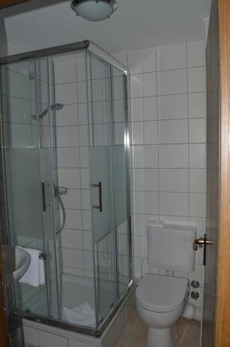 a bathroom with a toilet and a glass shower at Landhaus Eickler in Baiersbronn