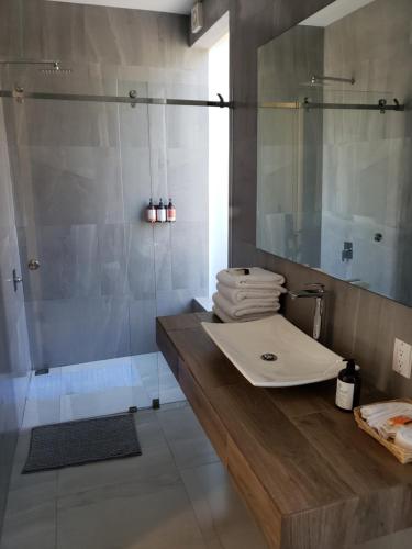 y baño con lavabo y ducha. en Hotel CaLu 2 en La Laguna, Santa María del Oro, en Santa María del Oro