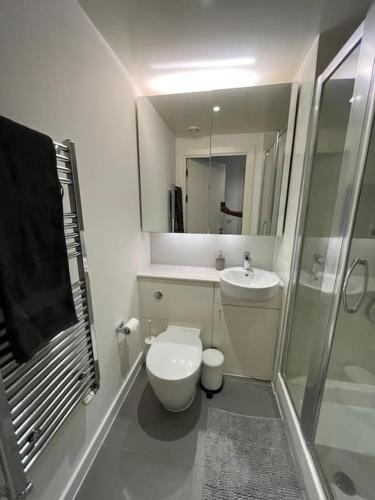 a bathroom with a toilet and a sink and a shower at Modern 2 bed - Olympic Park Stratford in London