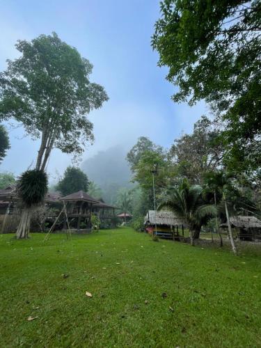 a field of grass with houses and a tree at Khaosok Monkeys & River Camps in Khao Sok National Park