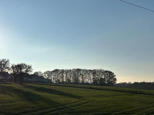 a grassy field with trees in the background at Inviting 4-Bed House in Berdorf Luxemburg in Berdorf