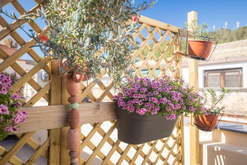 Casa Clelia Piazza – Photos 4