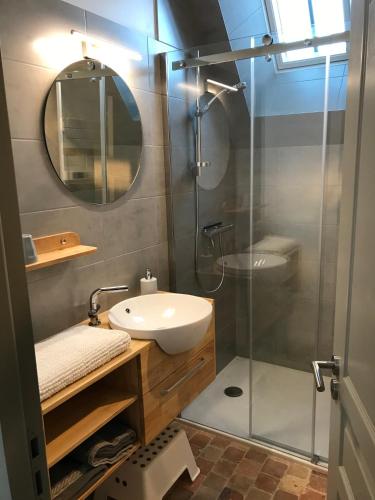 une salle de bain avec une douche, un lavabo et un miroir dans l'établissement Logis Escale vue Loire, piscine semi-troglodyte, à Trèves-Cunault