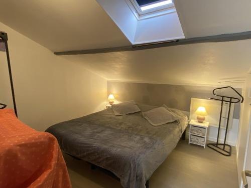 a bedroom with a bed and a skylight at Gites Plein Ciel in Rethel