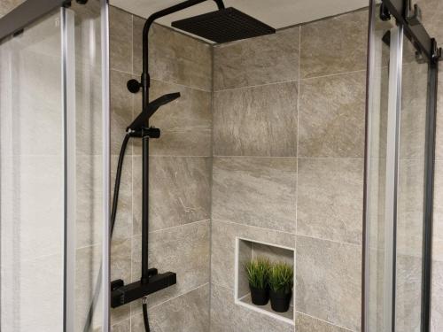 une douche avec une porte en verre et une plante dans l'établissement Landhaus Weindl, à Schönau am Königssee