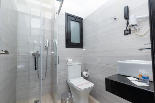 W łazience znajduje się prysznic, toaleta i umywalka. w obiekcie Evita Asty w Atenach