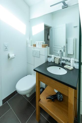 a bathroom with a sink and a toilet and a mirror at Mas de Capelou in Avignon