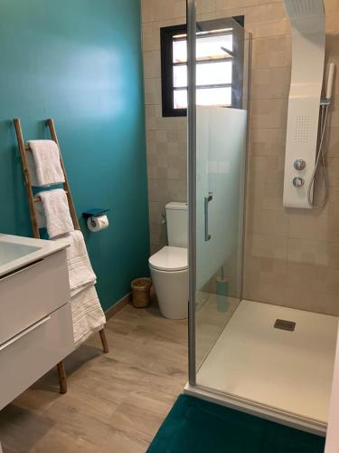 uma casa de banho com um WC e uma cabina de duche em vidro. em KazaCoco Bungalow à 5 min à pieds du lagon em La Saline-Les-Bains