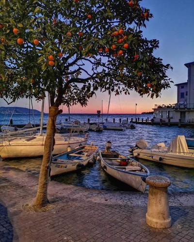Appartamento Al Porticciolo