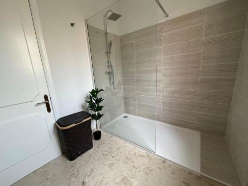 ein Badezimmer mit einer Dusche, einer Badewanne und einer Pflanze in der Unterkunft Seaview 3 bedroom apartment in Sliema in Sliema