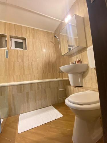 a bathroom with a toilet and a sink at Garsoniera Relax Drumul Taberei in Bucharest