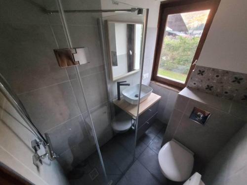 a bathroom with a shower and a toilet and a sink at Studio Châtel rénové et lumineux in Châtel