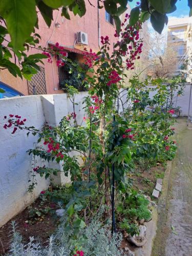 a garden with pink flowers in front of a building at Pine trees 55 in Athens