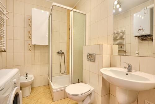 クリニツァ・ズドルイにあるArt Apartament Krynica Zdrój Centrumのバスルーム(トイレ、洗面台、シャワー付)