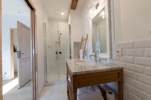 a bathroom with a sink and a shower at Orangerie de la Touchardière in Durtal