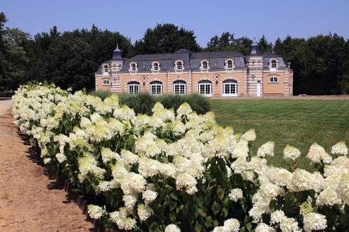 Κήπος έξω από το Orangerie de la Touchardière