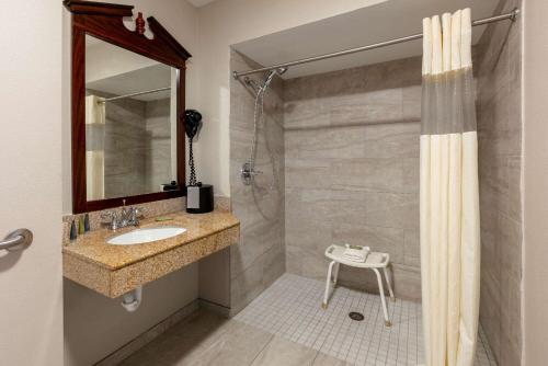 a bathroom with a sink and a shower at Wingate by Wyndham - DFW North in Irving