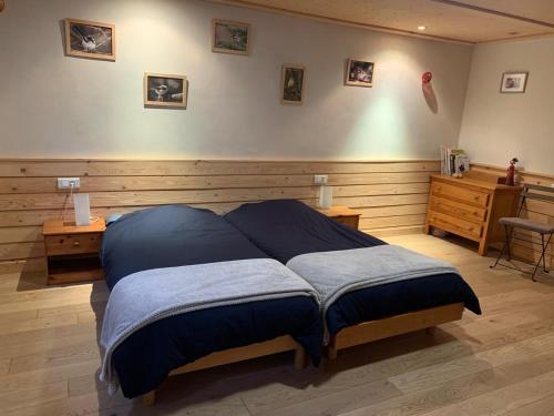 ein Schlafzimmer mit einem großen Bett mit blauen Kissen in der Unterkunft Gîte Côté Verre in Meisenthal