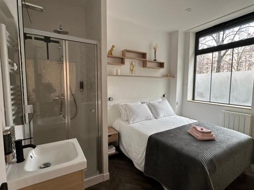 a bedroom with a bed and a shower and a sink at Logement GUÉNOT pour 5 personnes sur Paris 11 in Paris