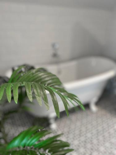 Φωτογραφία από το άλμπουμ του West Hendford House - Apt 1 σε Yeovil