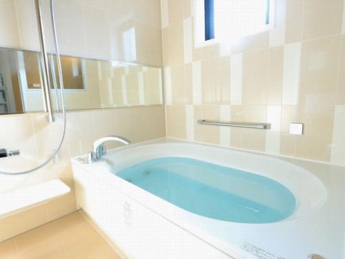 a bathroom with a bath tub with a shower at HOTEL LiVEMAX Higashi Ginza in Tokyo