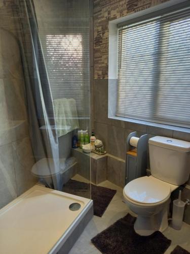 a bathroom with a toilet and a shower at Middlethorpe Apartment in York