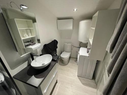 La petite salle de bains est pourvue d'un lavabo et de toilettes. dans l'établissement Chalet de jardin, à Marseille