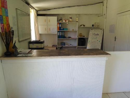 a kitchen with a white counter and a refrigerator at Eden Guest Farm in Bloemfontein