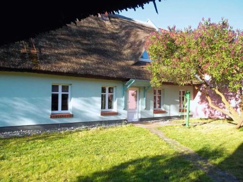 a white house with a thatched roof and a yard at Reetgedecktes Ferienhaus Ulrichshorst in Ulrichshorst