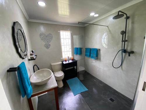 a bathroom with a sink and a toilet and a shower at Echo Valley Guest Farm in Breyten