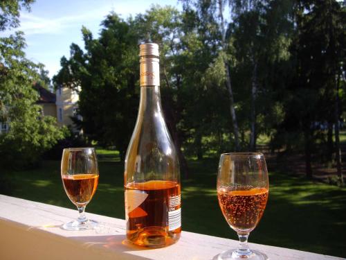 ノイアルベンロイトにあるGolf-Appartement Sonnenblickのワイン1本とグラス2杯