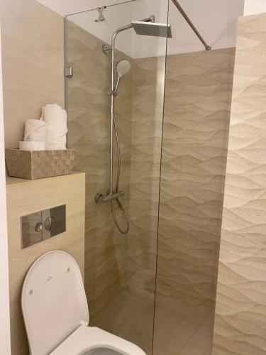 a shower stall with a toilet in a bathroom at Virginia's Studio in Piteşti
