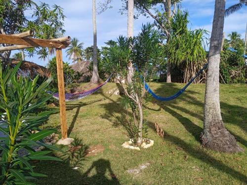 a hammock in a garden with palm trees at Arena Oceanview Hotel & La Terraza Restaurant in Las Galeras