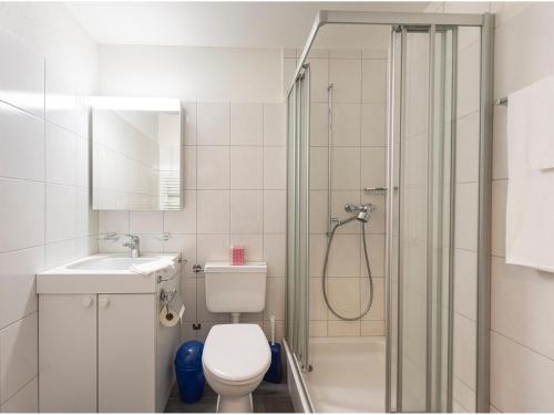 een badkamer met een douche, een toilet en een wastafel bij Wohnung von Schorsch in Splügen