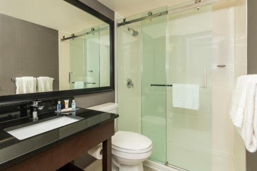 La salle de bains est pourvue de toilettes et d'une douche en verre. dans l'établissement Comfort Inn Sault Ste Marie, à Sault-Sainte-Marie