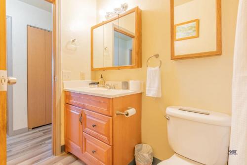 a bathroom with a toilet and a sink and a mirror at Centrally Located Comfort And Coffee 3 in Fairbanks