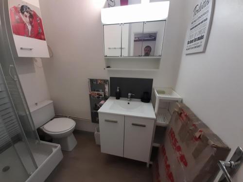 łazienka z toaletą, umywalką i lustrem w obiekcie Studio superdevoluy w mieście Dévoluy