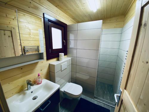a bathroom with a sink and a toilet and a mirror at Wooden lodge with jacuzzi in Rečica ob Savinji