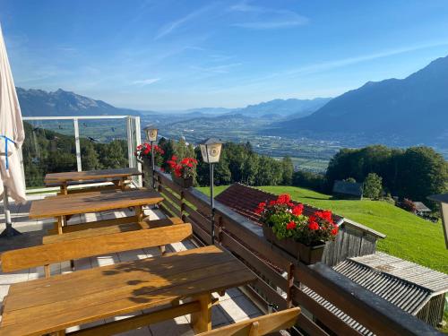 Gallery image of Aparthotel-Almgasthaus Gemsli - A bisal Österreich überm Schweizer Rheintal in Sevelen