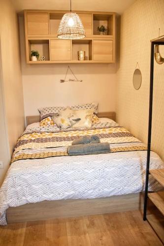 un chien allongé sur un lit dans une chambre dans l'établissement STUDIO EXOTIC - PROCHE GARE - WiFi - NETFLIX, à Amiens