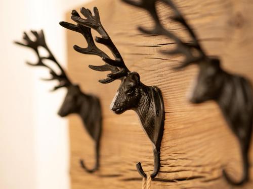 a group of deer heads on a wooden wall at Bauernhof Vordermühltal in Itter