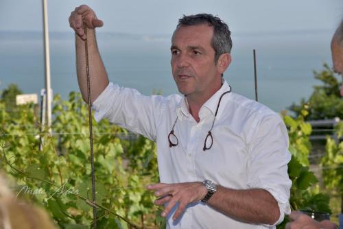 Logement chez le vigneron – Photos 3