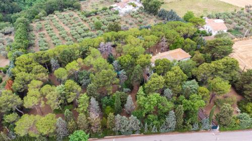 Gallery image of Aurora Holiday House in Vasto