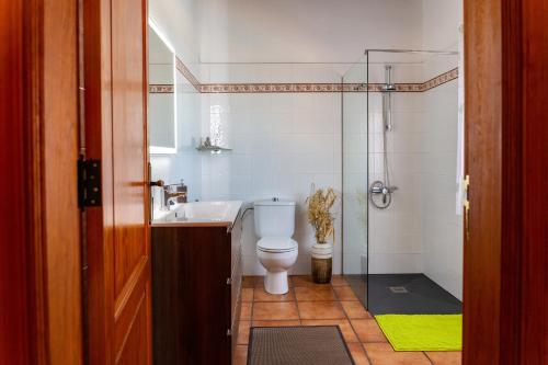 ein Bad mit einem WC, einem Waschbecken und einer Dusche in der Unterkunft One bedroom villa with sea view private pool and furnished garden at Tijarafe in Tijarafe