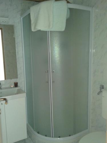 a shower in a bathroom with a toilet and a sink at Apartment Bella Vista 2 in Buzet
