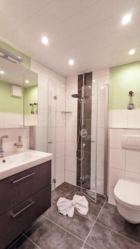 a bathroom with a shower and a sink and a toilet at Ferienwohnung Elisabeth in Pfronten