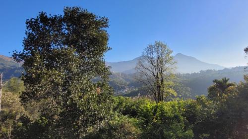 a view of a forest with mountains in the background at 3R Residency The Backpackers Hub Munnar in Munnar